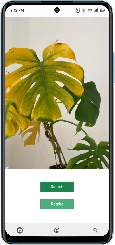 Botany Buddy Android Submission